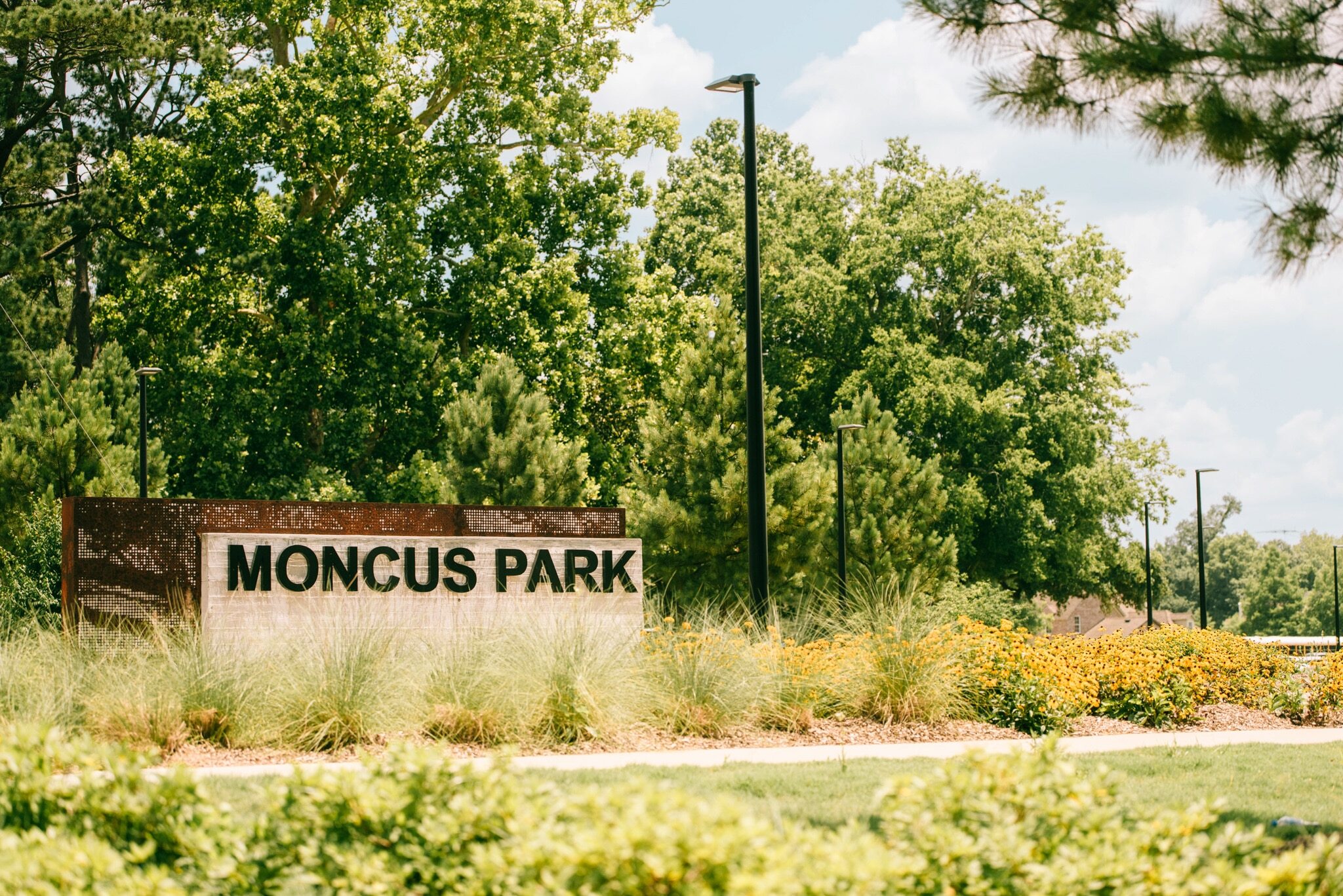 moncus 3